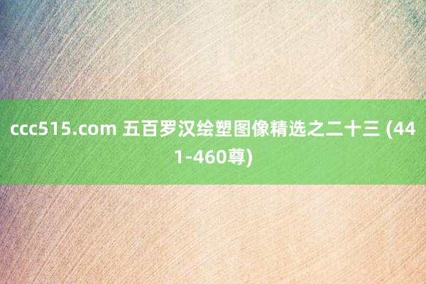 ccc515.com 五百罗汉绘塑图像精选之二十三 (441-460尊)