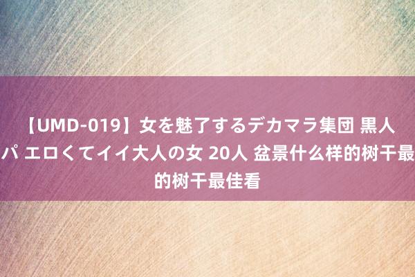 【UMD-019】女を魅了するデカマラ集団 黒人ナンパ エロくてイイ大人の女 20人 盆景什么样的树干最佳看