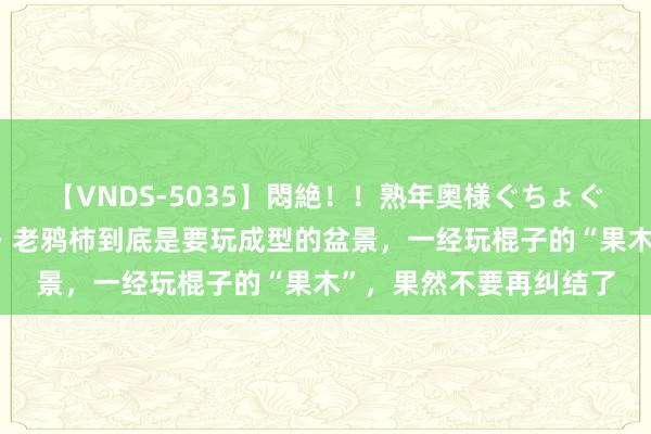 【VNDS-5035】悶絶！！熟年奥様ぐちょぐちょディルドオナニー 老鸦柿到底是要玩成型的盆景，一经玩棍子的“果木”，果然不要再纠结了