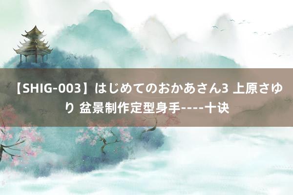 【SHIG-003】はじめてのおかあさん3 上原さゆり 盆景制作定型身手----十诀