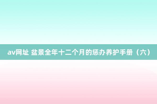 av网址 盆景全年十二个月的惩办养护手册（六）