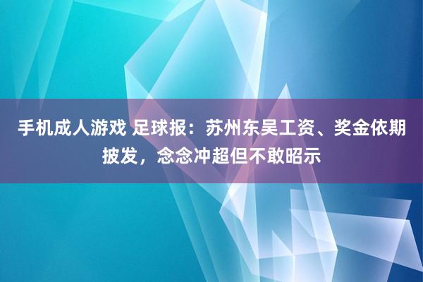 手机成人游戏 足球报：苏州东吴工资、奖金依期披发，念念冲超但不敢昭示