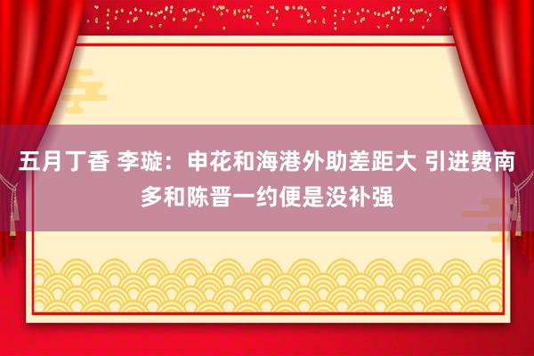 五月丁香 李璇：申花和海港外助差距大 引进费南多和陈晋一约便是没补强