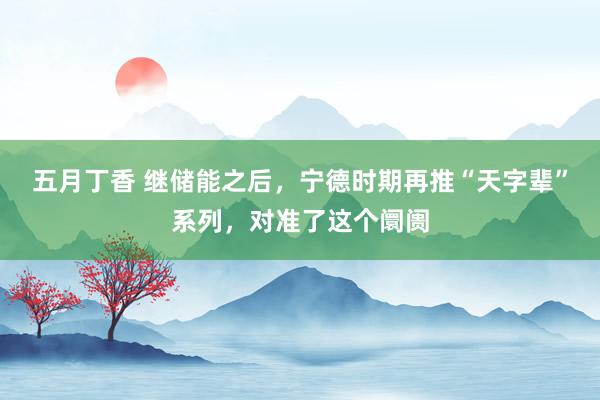 五月丁香 继储能之后，宁德时期再推“天字辈”系列，对准了这个阛阓