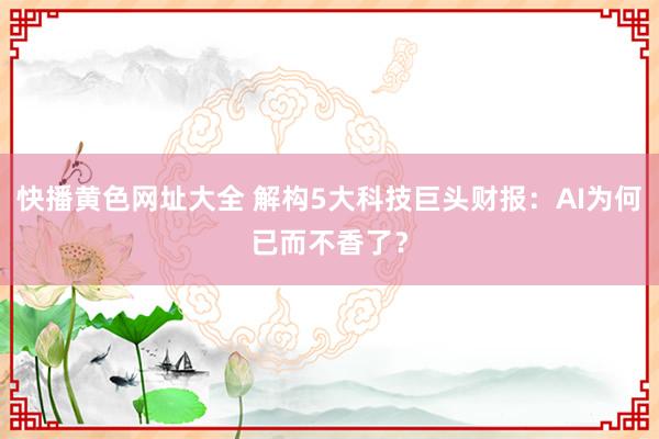 快播黄色网址大全 解构5大科技巨头财报：AI为何已而不香了？