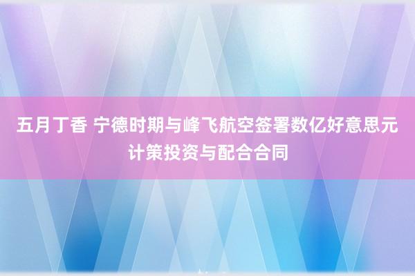 五月丁香 宁德时期与峰飞航空签署数亿好意思元计策投资与配合合同