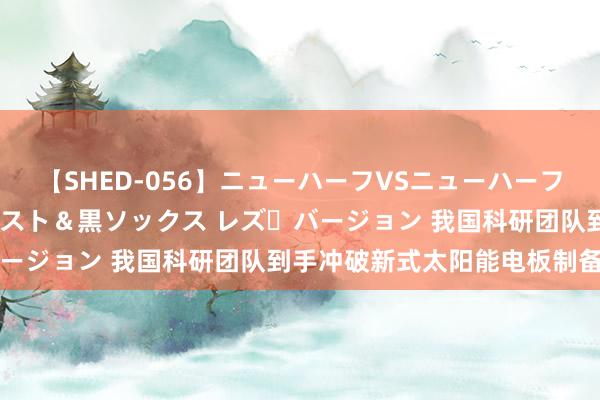 【SHED-056】ニューハーフVSニューハーフ 不純同性肛遊 3 黒パンスト＆黒ソックス レズ・バージョン 我国科研团队到手冲破新式太阳能电板制备辛苦