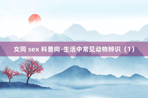 女同 sex 科普向-生活中常见动物辨识（1）