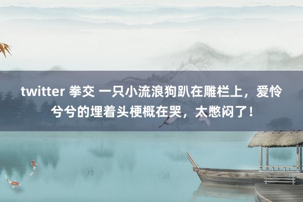 twitter 拳交 一只小流浪狗趴在雕栏上，爱怜兮兮的埋着头梗概在哭，太憋闷了！