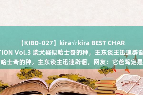 【KIBD-027】kira☆kira BEST CHARISMA☆MODEL☆COLLECTION Vol.3 柴犬疑似哈士奇的种，主东谈主迅速辟谣，网友：它爸笃定是哈士奇