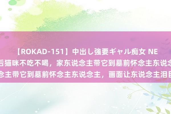 【ROKAD-151】中出し強要ギャル痴女 NEO 4時間 主东说念主离世后猫咪不吃不喝，家东说念主带它到墓前怀念主东说念主，画面让东说念主泪目