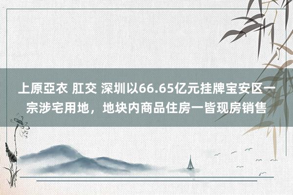 上原亞衣 肛交 深圳以66.65亿元挂牌宝安区一宗涉宅用地，地块内商品住房一皆现房销售