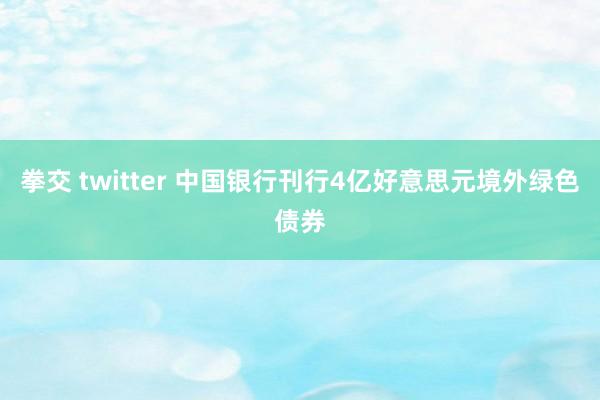 拳交 twitter 中国银行刊行4亿好意思元境外绿色债券