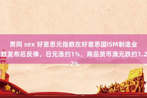 男同 sex 好意思元指数在好意思国ISM制造业指数发布后反弹，日元涨约1%，商品货币澳元跌约1.2%