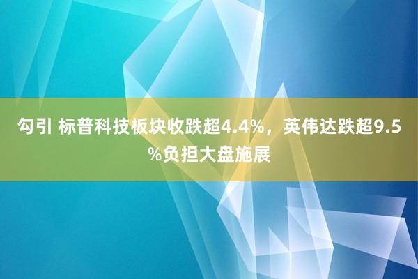 勾引 标普科技板块收跌超4.4%，英伟达跌超9.5%负担大盘施展