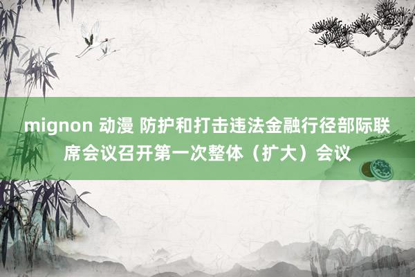 mignon 动漫 防护和打击违法金融行径部际联席会议召开第一次整体（扩大）会议