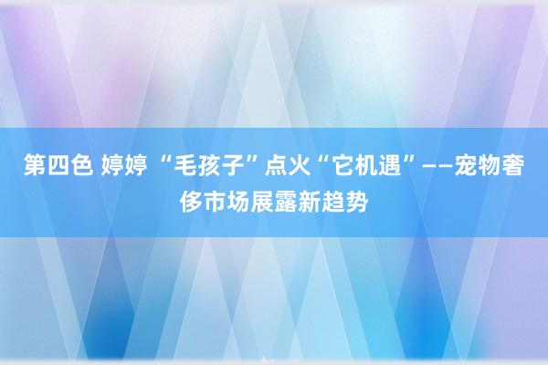 第四色 婷婷 “毛孩子”点火“它机遇”——宠物奢侈市场展露新趋势