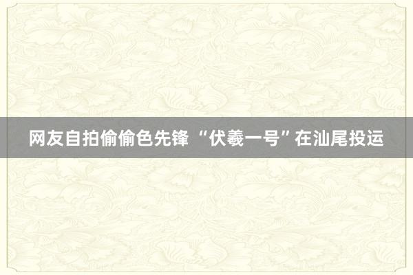 网友自拍偷偷色先锋 “伏羲一号”在汕尾投运