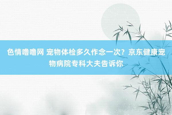 色情噜噜网 宠物体检多久作念一次？京东健康宠物病院专科大夫告诉你