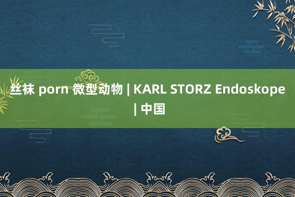 丝袜 porn 微型动物 | KARL STORZ Endoskope | 中国