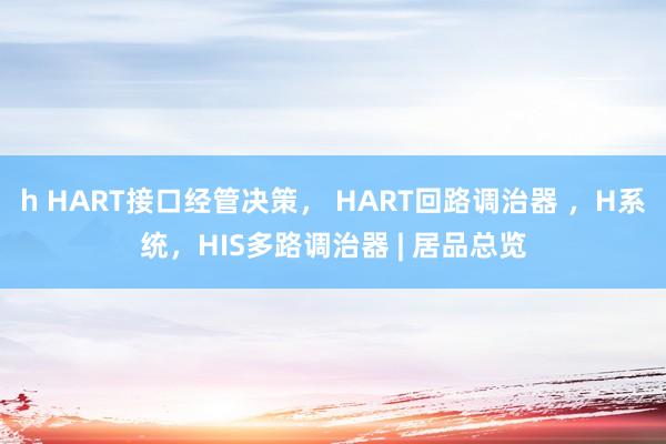 h HART接口经管决策， HART回路调治器 ，H系统，HIS多路调治器 | 居品总览