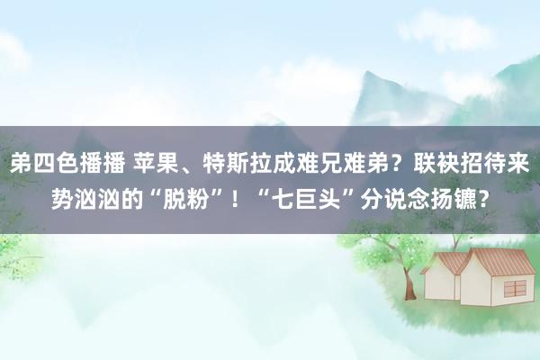 弟四色播播 苹果、特斯拉成难兄难弟？联袂招待来势汹汹的“脱粉”！“七巨头”分说念扬镳？